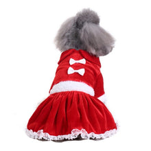 Load image into Gallery viewer, Christmas  Dog Dress