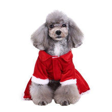 Load image into Gallery viewer, Christmas  Dog Dress