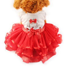 Load image into Gallery viewer, Red Lacy Dog Dress