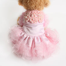 Load image into Gallery viewer, Lacy Dog Dress