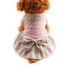 Load image into Gallery viewer, Lacy Dog Dress