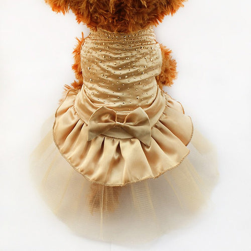 Candy Dog Dress