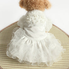 Load image into Gallery viewer, Lacy Dog Dress