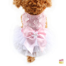 Load image into Gallery viewer, Lacy Dog Dress