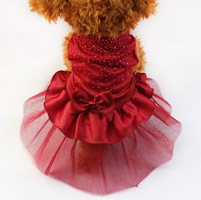 Candy Dog Dress