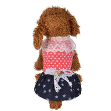 Load image into Gallery viewer, Lacy Dog Dress