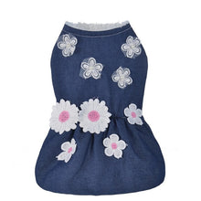 Load image into Gallery viewer, Lacy Dog Dress