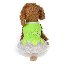 Load image into Gallery viewer, Lacy Dog Dress