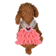 Load image into Gallery viewer, Lacy Dog Dress